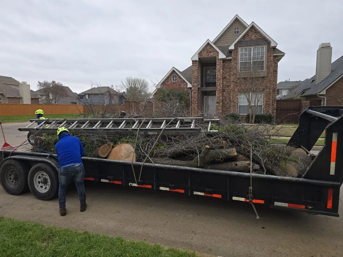 Expert Tree Fertilization with proper safety equipment in Owosso